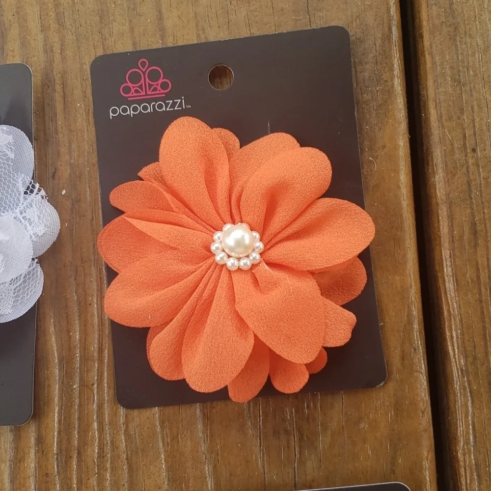 Paparazzi hair clips for girls